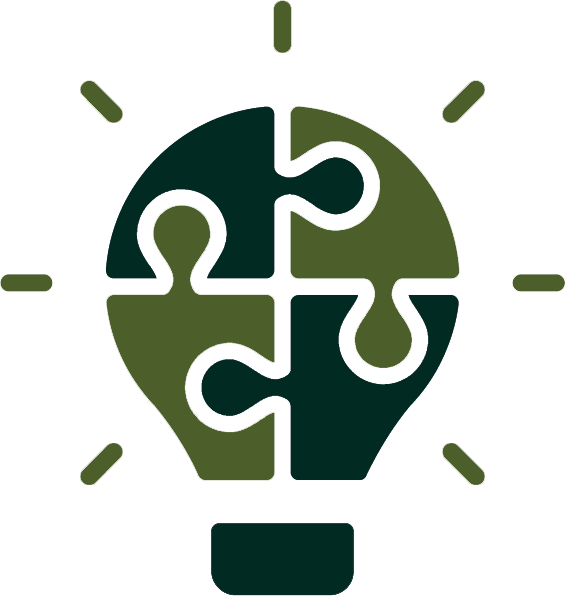 solutions_strategy